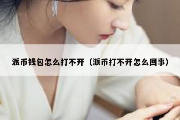 派币钱包怎么打不开（派币打不开怎么回事） 第1张