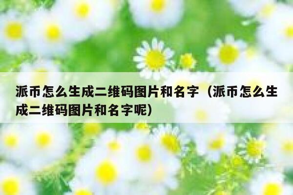 派币怎么生成二维码图片和名字（派币怎么生成二维码图片和名字呢） 第1张