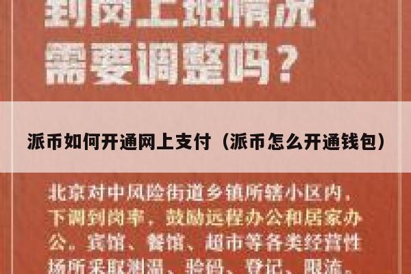 派币如何开通网上支付（派币怎么开通钱包） 第1张