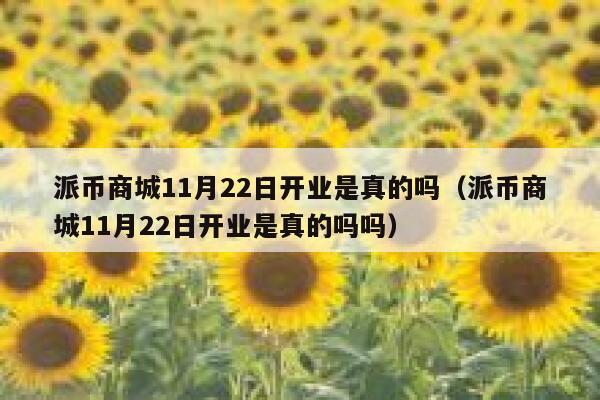 派币商城11月22日开业是真的吗（派币商城11月22日开业是真的吗吗） 第1张