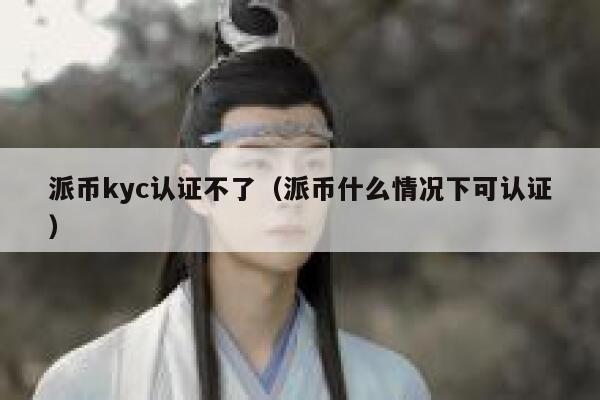 派币kyc认证不了（派币什么情况下可认证） 第1张