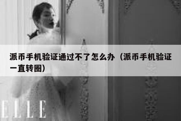 派币手机验证通过不了怎么办（派币手机验证一直转圈） 第1张