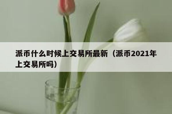 派币什么时候上交易所最新（派币2021年上交易所吗） 第1张