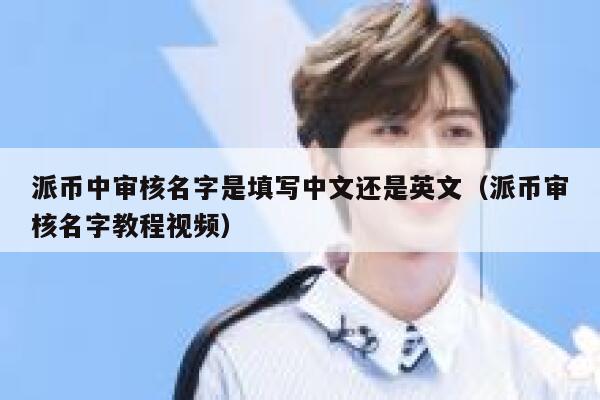 派币中审核名字是填写中文还是英文（派币审核名字教程视频） 第1张