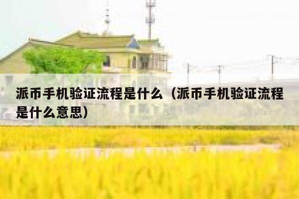 派币手机验证流程是什么（派币手机验证流程是什么意思） 第1张
