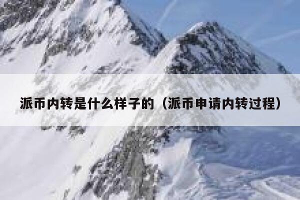 派币内转是什么样子的（派币申请内转过程） 第1张
