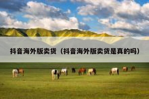 抖音海外版卖货（抖音海外版卖货是真的吗） 第1张