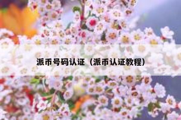 派币号码认证（派币认证教程） 第1张
