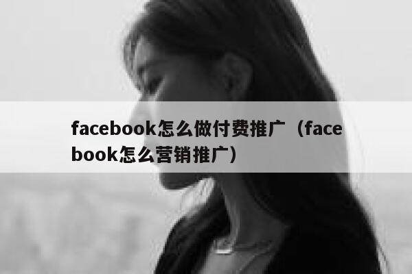 facebook怎么做付费推广（facebook怎么营销推广） 第1张