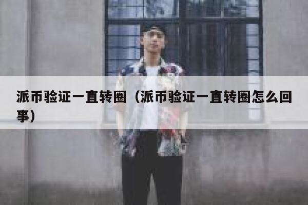 派币验证一直转圈（派币验证一直转圈怎么回事） 第1张