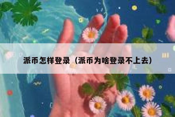 派币怎样登录（派币为啥登录不上去） 第1张