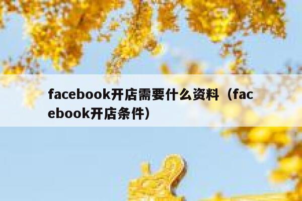 facebook开店需要什么资料（facebook开店条件） 第1张