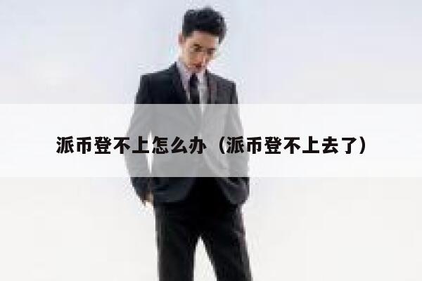 派币登不上怎么办（派币登不上去了） 第1张
