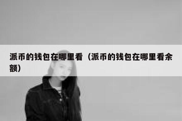 派币的钱包在哪里看（派币的钱包在哪里看余额） 第1张