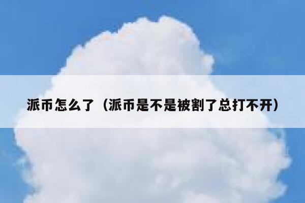 派币怎么了（派币是不是被割了总打不开） 第1张