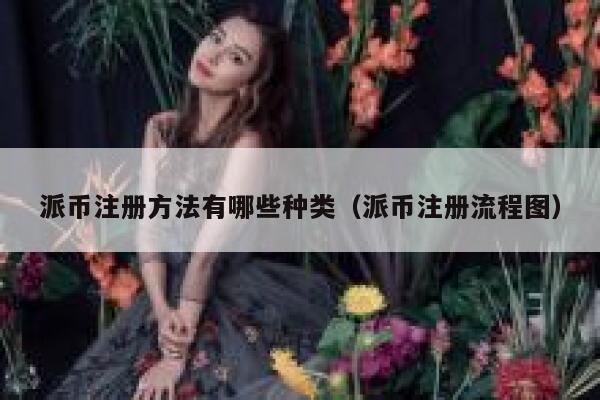 派币注册方法有哪些种类（派币注册流程图） 第1张