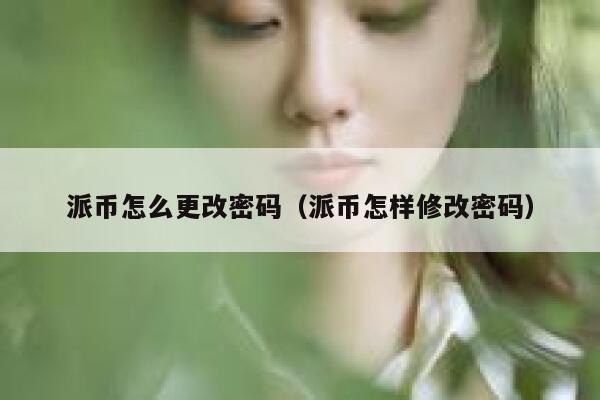 派币怎么更改密码（派币怎样修改密码） 第1张