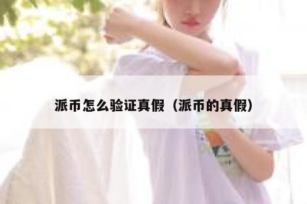 派币怎么验证真假（派币的真假） 第1张