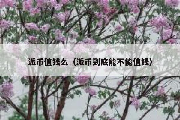 派币值钱么（派币到底能不能值钱） 第1张