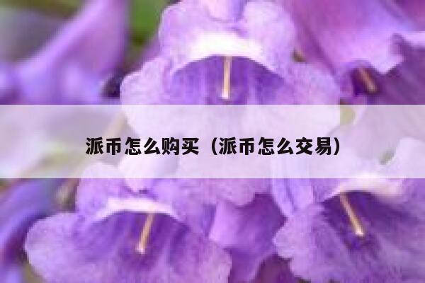 派币怎么购买（派币怎么交易） 第1张