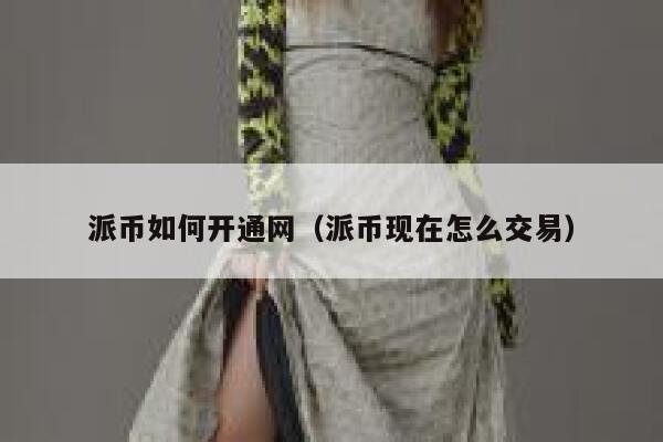 派币如何开通网（派币现在怎么交易） 第1张