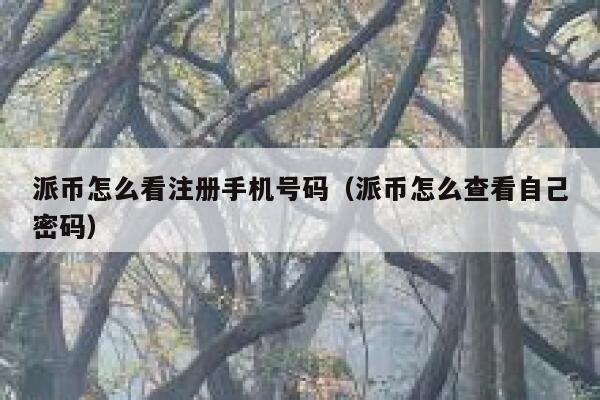 派币怎么看注册手机号码（派币怎么查看自己密码） 第1张
