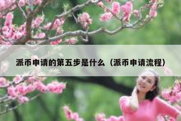 派币申请的第五步是什么（派币申请流程） 第1张