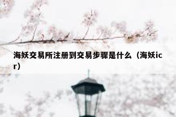 海妖交易所注册到交易步骤是什么（海妖icr） 第1张