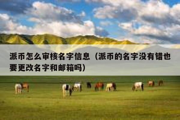 派币怎么审核名字信息（派币的名字没有错也要更改名字和邮箱吗） 第1张