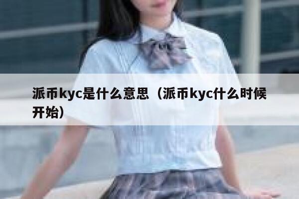 派币kyc是什么意思（派币kyc什么时候开始） 第1张