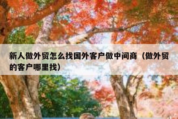新人做外贸怎么找国外客户做中间商（做外贸的客户哪里找） 第1张