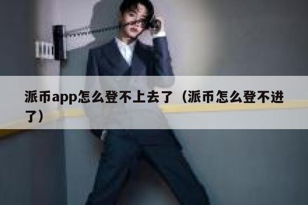 派币app怎么登不上去了（派币怎么登不进了） 第1张