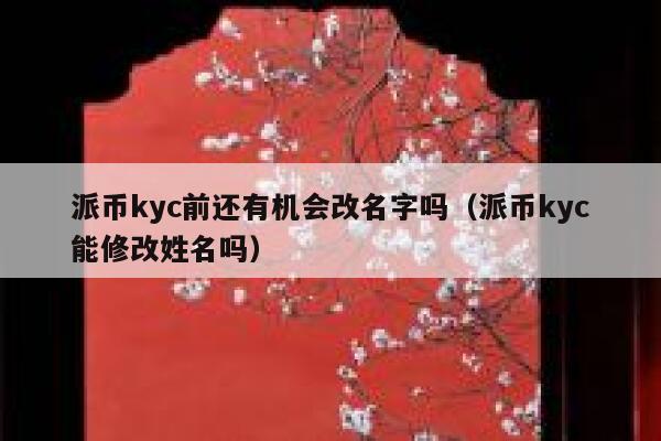 派币kyc前还有机会改名字吗（派币kyc能修改姓名吗） 第1张