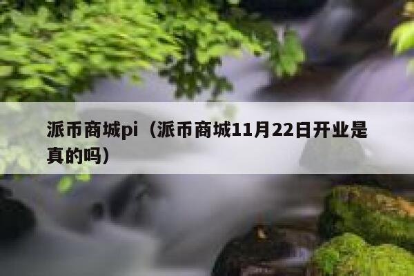 派币商城pi（派币商城11月22日开业是真的吗） 第1张