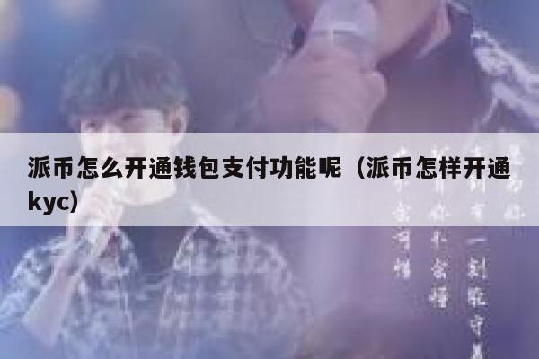派币怎么开通钱包支付功能呢（派币怎样开通kyc） 第1张