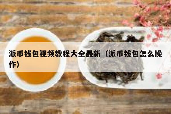 派币钱包视频教程大全最新（派币钱包怎么操作） 第1张