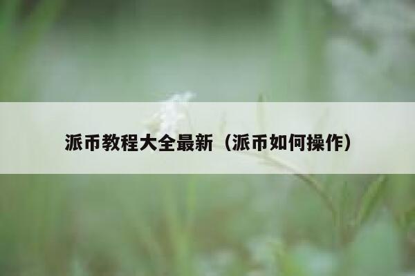 派币教程大全最新（派币如何操作） 第1张