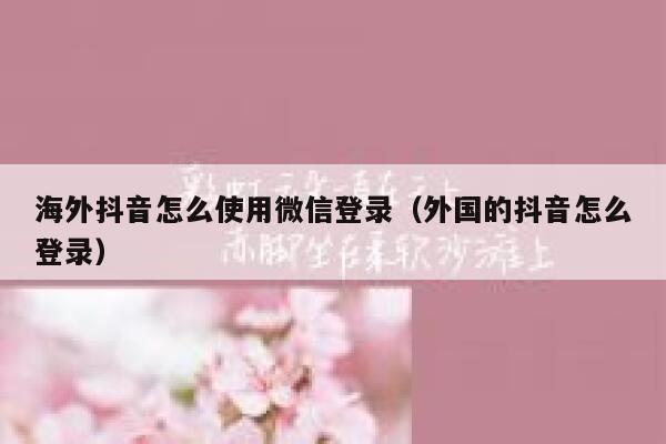 海外抖音怎么使用微信登录（外国的抖音怎么登录） 第1张