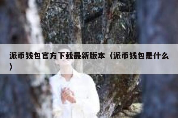 派币钱包官方下载最新版本（派币钱包是什么） 第1张
