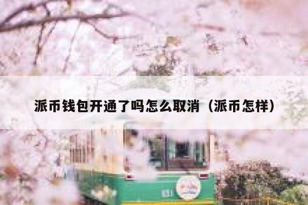 派币钱包开通了吗怎么取消（派币怎样） 第1张
