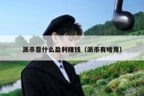 派币靠什么盈利赚钱（派币有啥用） 第1张