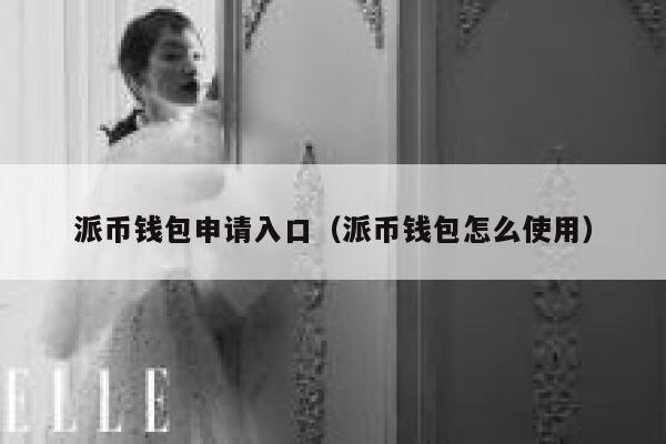 派币钱包申请入口（派币钱包怎么使用） 第1张