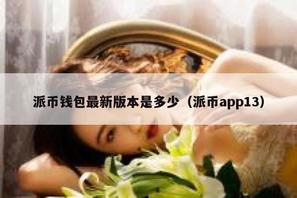 派币钱包最新版本是多少（派币app13） 第1张
