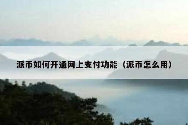 派币如何开通网上支付功能（派币怎么用） 第1张