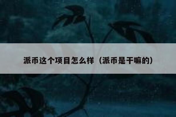 派币这个项目怎么样（派币是干嘛的） 第1张