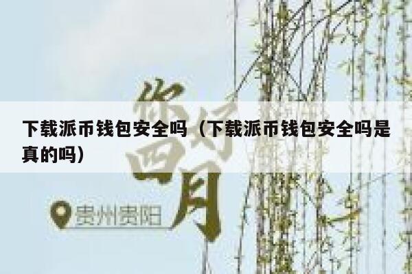 下载派币钱包安全吗（下载派币钱包安全吗是真的吗） 第1张
