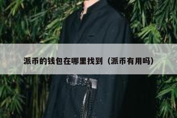 派币的钱包在哪里找到（派币有用吗） 第1张