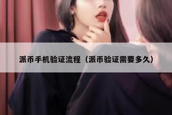 派币手机验证流程（派币验证需要多久） 第1张