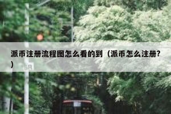 派币注册流程图怎么看的到（派币怎么注册?） 第1张