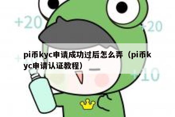 pi币kyc申请成功过后怎么弄（pi币kyc申请认证教程） 第1张